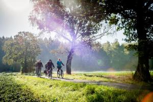 velo inn basislager bad berka