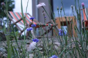 velo inn basislager bad berka