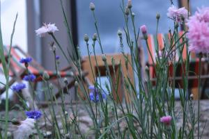 velo inn basislager bad berka