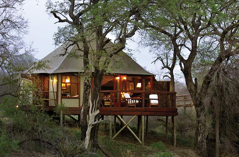 hamiltons tented camp