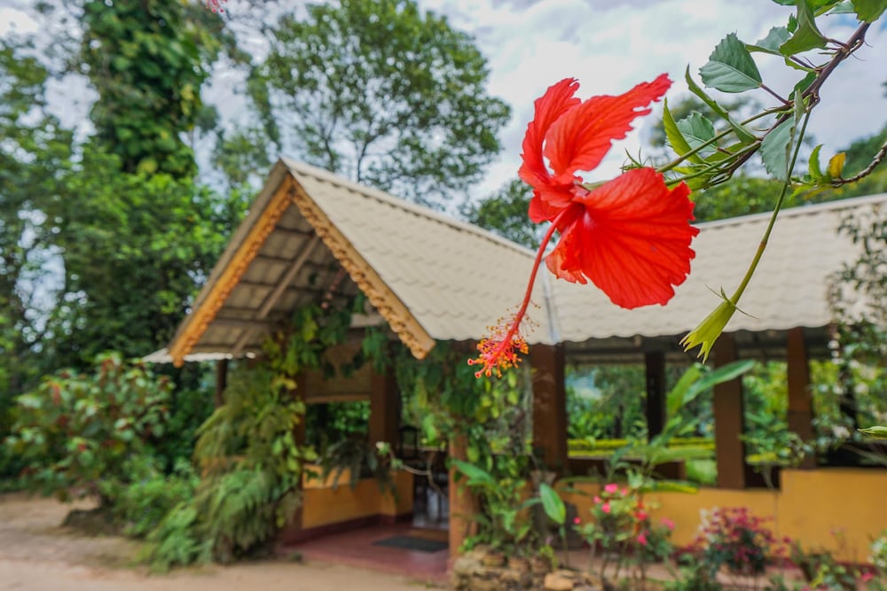 sunnyside holiday bungalow