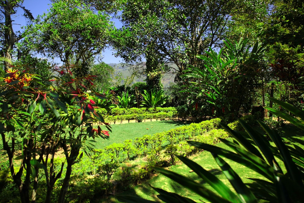 sunnyside holiday bungalow