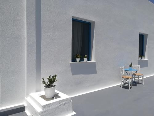 livanios studios