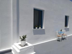 livanios studios