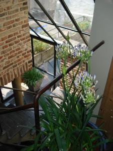 apart hotel op de beek anno 1410