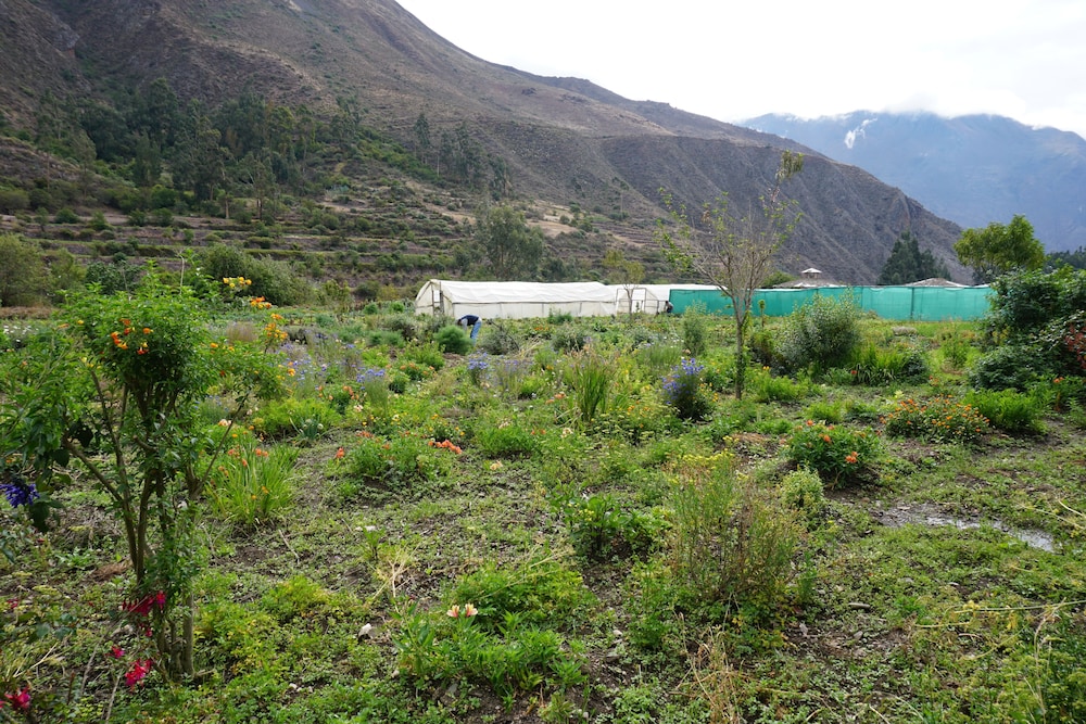 ollantaytambo