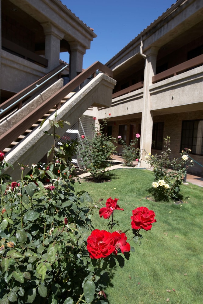 premier inns thousand oaks