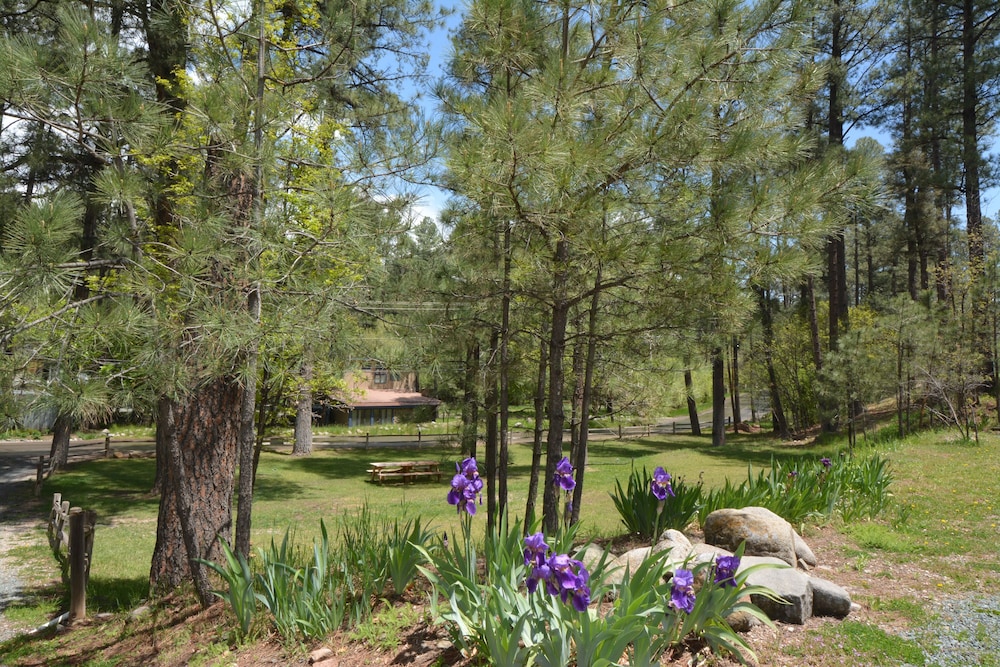 upper canyon inn and cabins