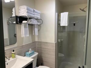 pinedale cozy cabins