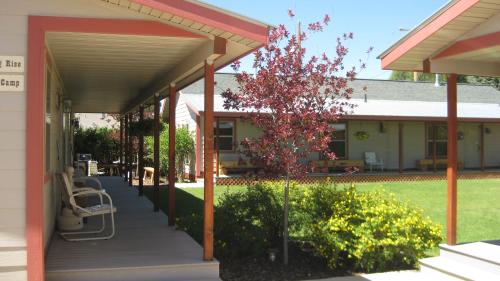 pinedale cozy cabins
