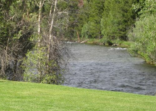 pinedale cozy cabins