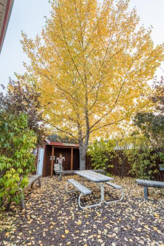 pinedale cozy cabins