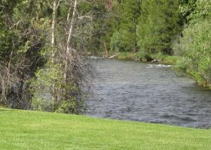 pinedale cozy cabins