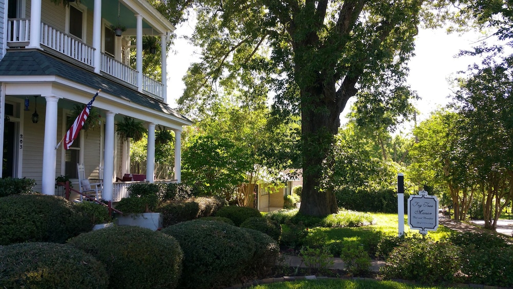 fig tree manor