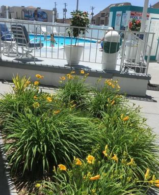 the atlantic bw signature collection