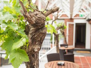 hotel and restaurant wefers