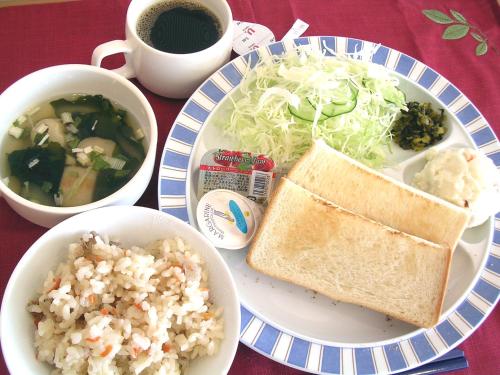 hotel aston plaza himeji