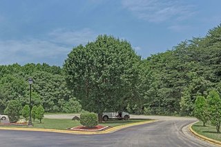 Comfort Inn,Cleveland>>Charlotte,3 star