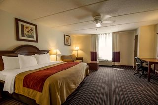 Comfort Inn Kissimmee-Lake Buena Vista South,5196 W Irlo Bronson Memorial Hwy,3 star