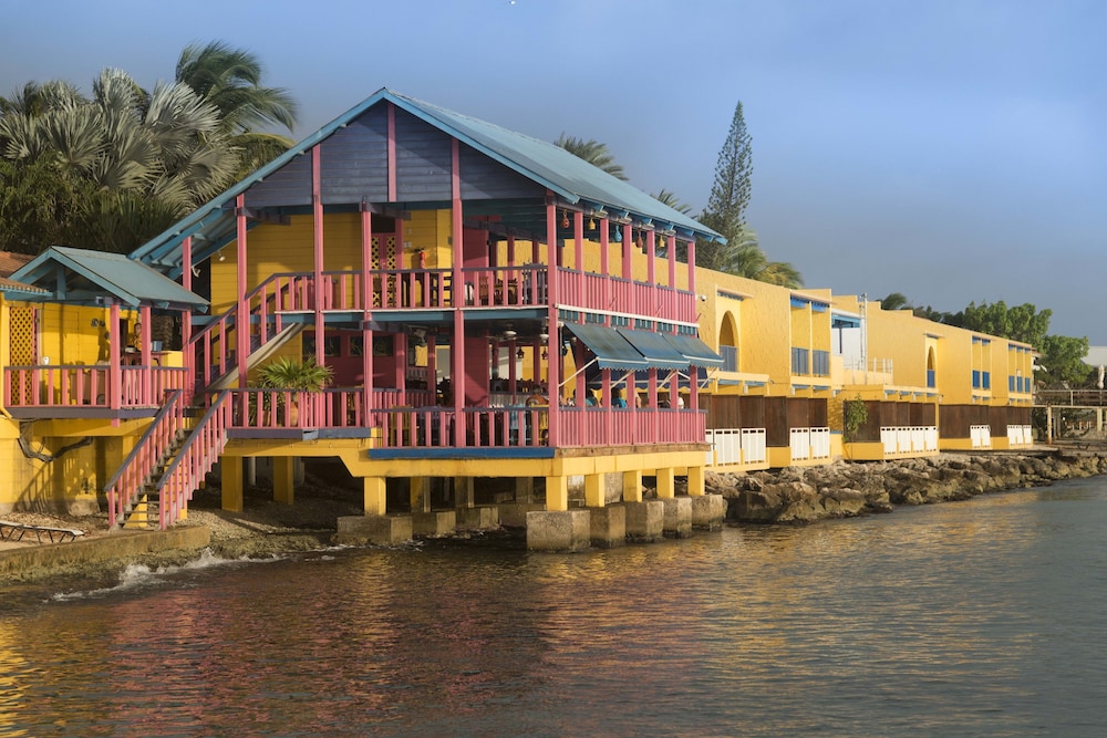 divi flamingo beach resort and casino