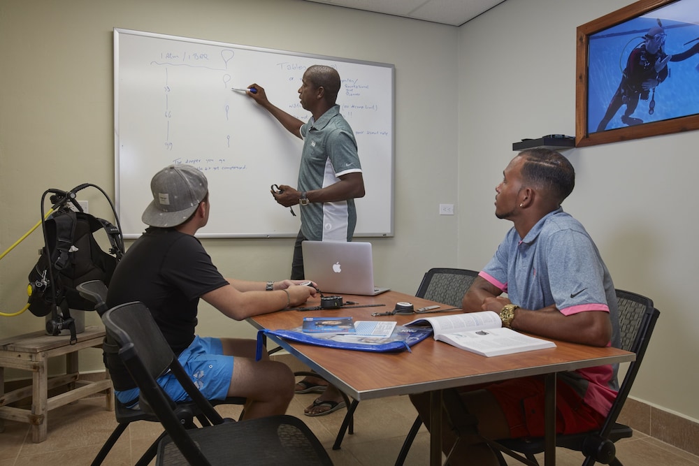 divi flamingo beach resort and casino