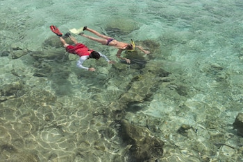 divi flamingo beach resort and casino