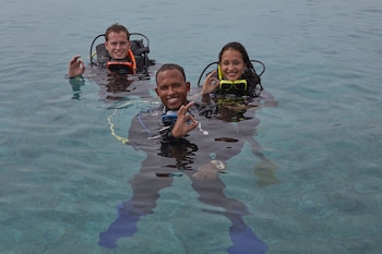 divi flamingo beach resort and casino