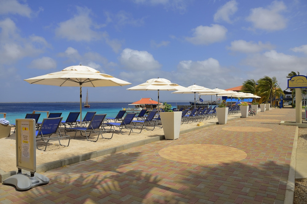 divi flamingo beach resort and casino