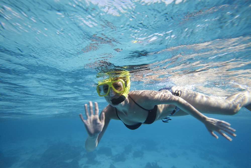 divi flamingo beach resort and casino