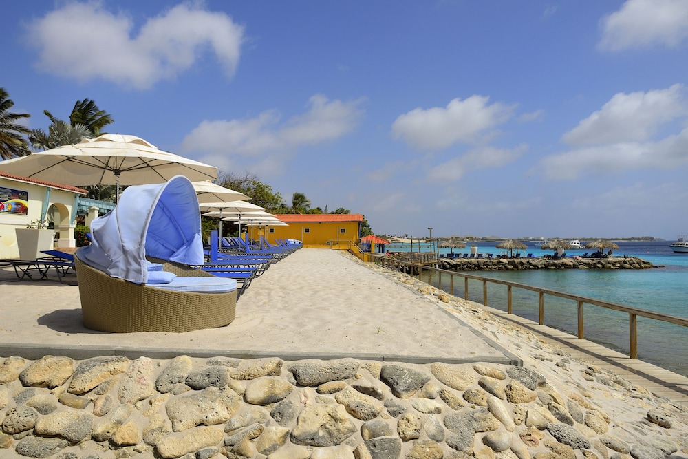 divi flamingo beach resort and casino