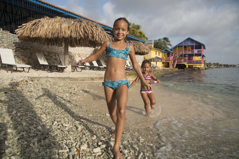 divi flamingo beach resort and casino