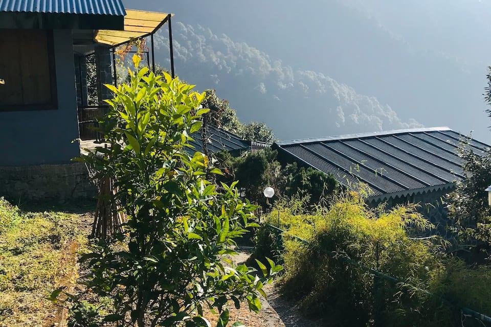nainital