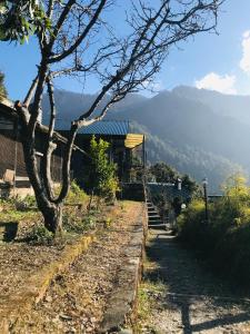 nainital