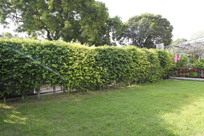 capital o 3844 hotel kd palace