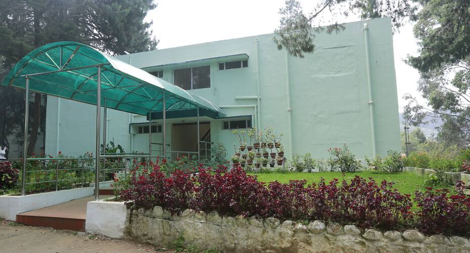 ooty
