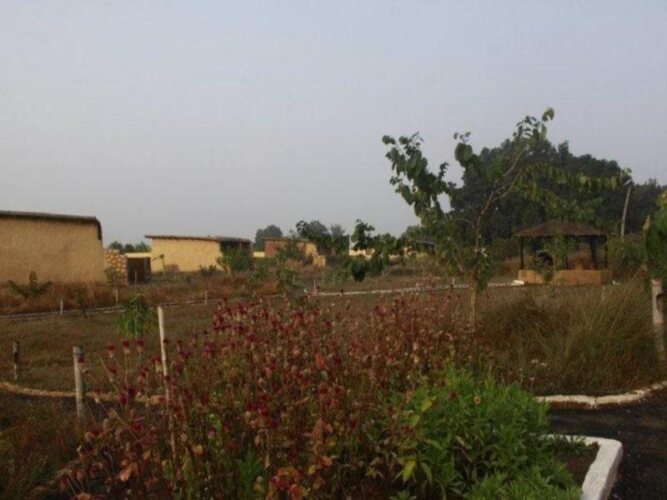 kanha