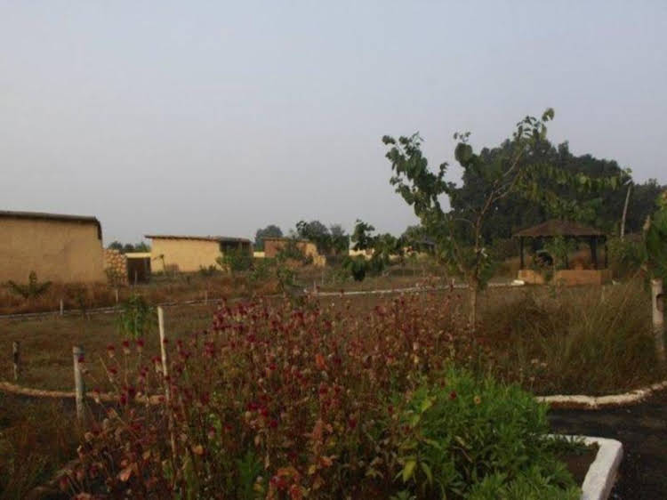 kanha