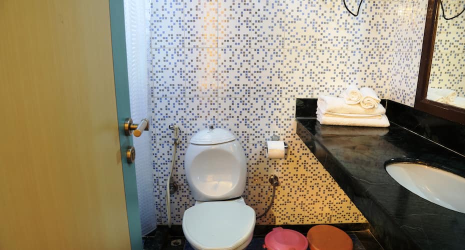 hotel mayur