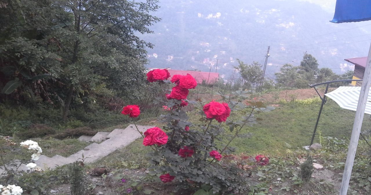 gangtok