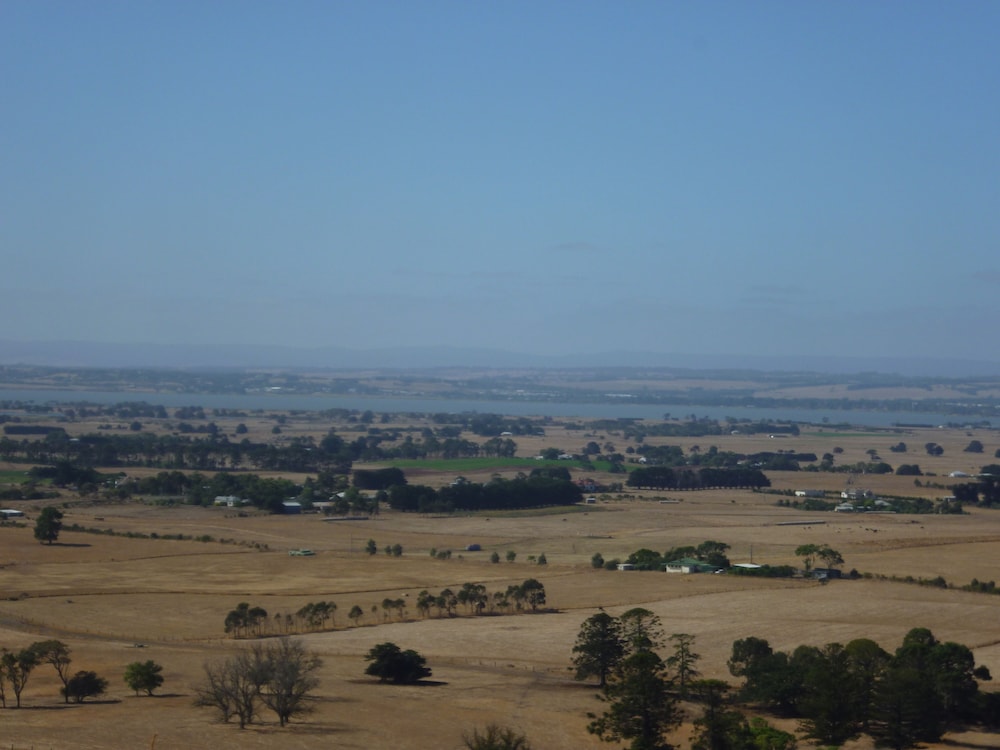 colac