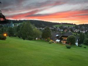 hotel zum ochsen schonwald adults only