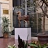 grand hotel yerevan