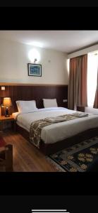 the pangong hotel