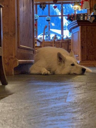 gressoney saint jean