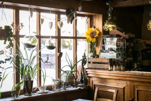 gressoney saint jean