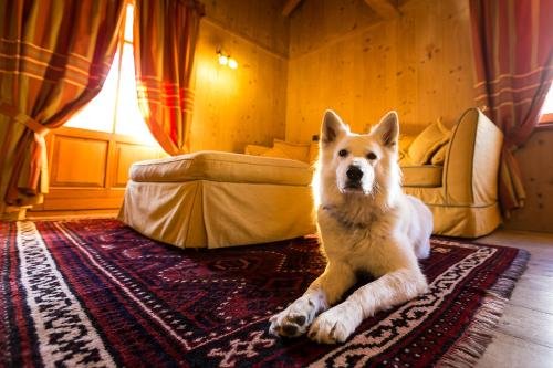 gressoney saint jean