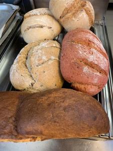 gressoney saint jean