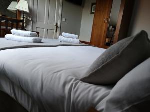 Hotel-Img