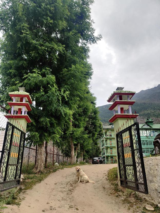 hotel mount kailash