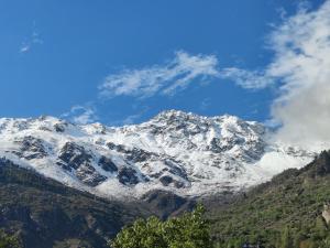 hotel mount kailash
